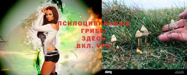Альфа ПВП Вяземский